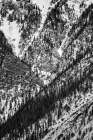 USA, Colorado, Frisco. Snow-filled chutes above I-70 near Copper Mountain Art Print